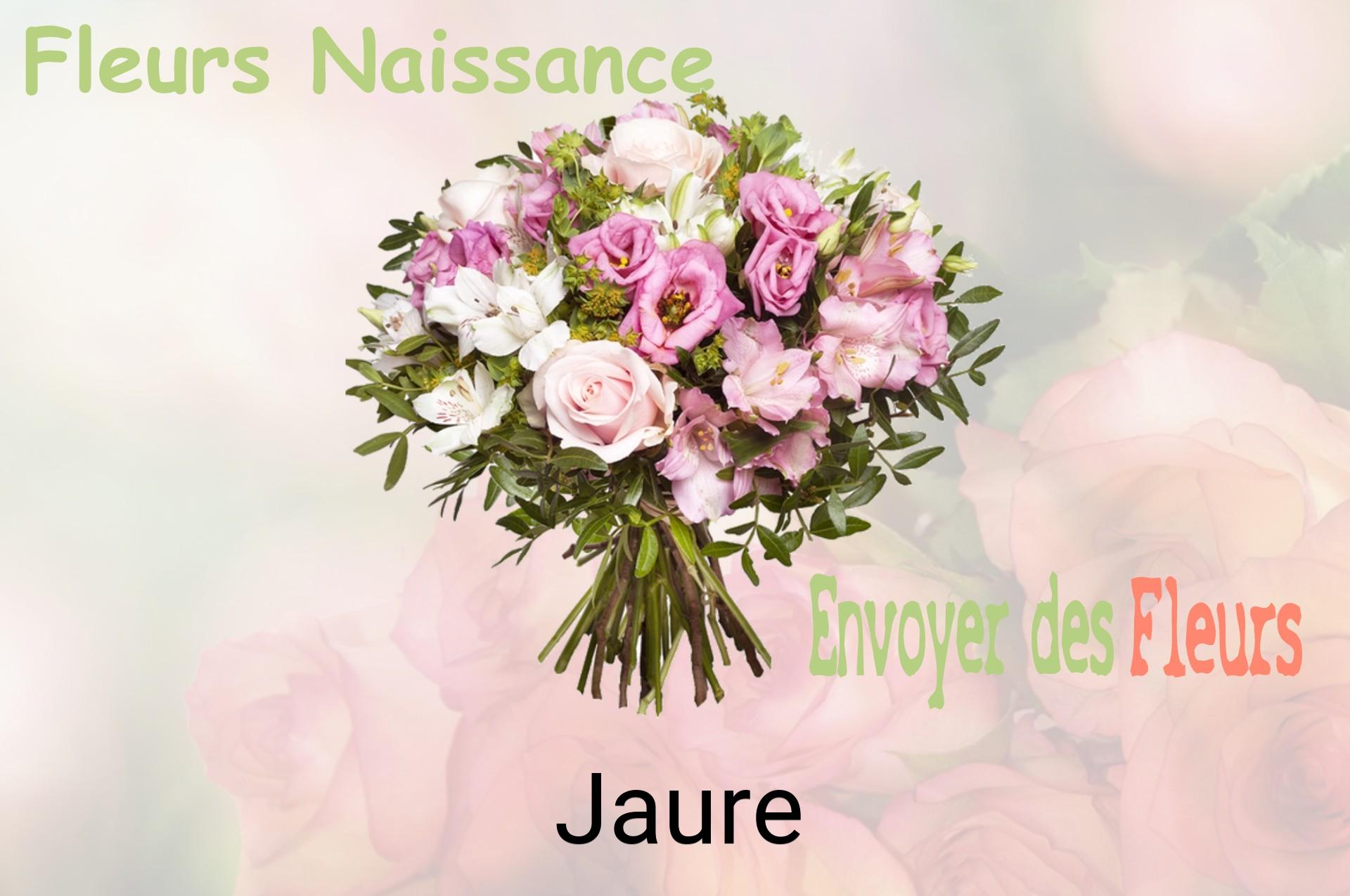 Bouquet de fleurs de naissance livré à Jaure